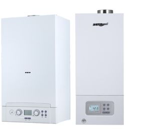 Power Supply 20-50HZ Wall Hung Gas Boiler For Home Heating Classic Style