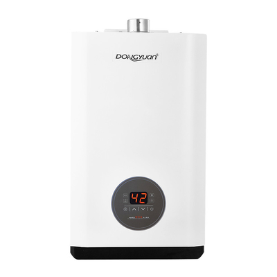 OEM পরিবর্তনশীল গরম দেয়াল ঝুলন্ত গ্যাস বয়লার প্রোগ্রামযোগ্য নিয়ন্ত্রিত